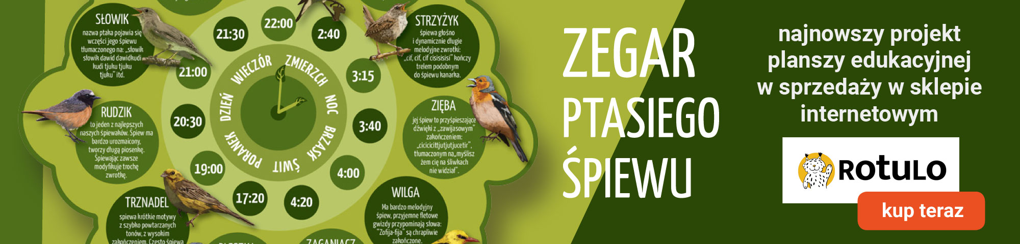 autorski projekt zegara ptasiego śpiewu - plansza edukacyjna sklep Rotulo, Anna Szumańska, SZUMAN